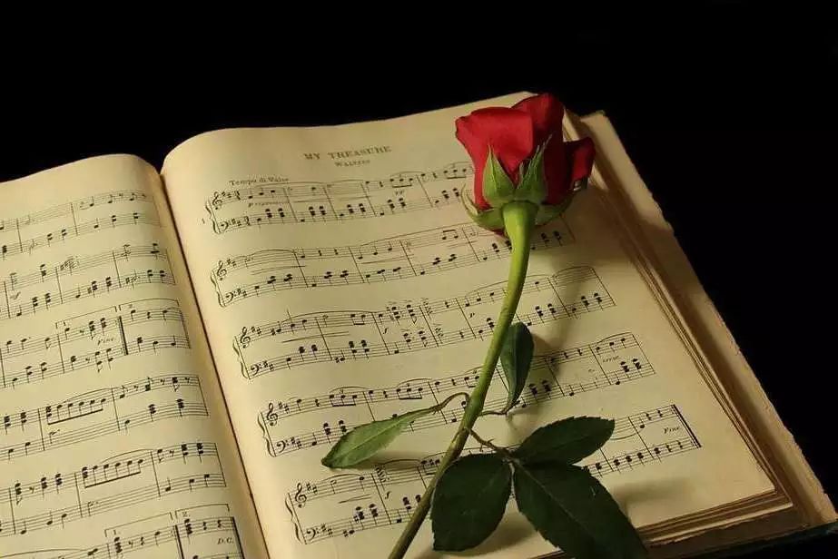 川大必修课最新消息,川大有哪些必修课