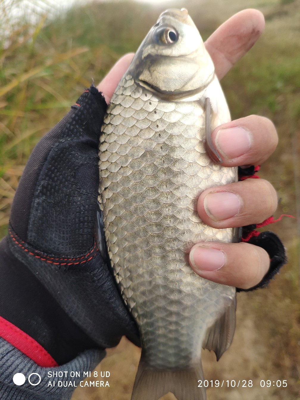 和钓友吃吃喝喝好不好,野钓与钓友
