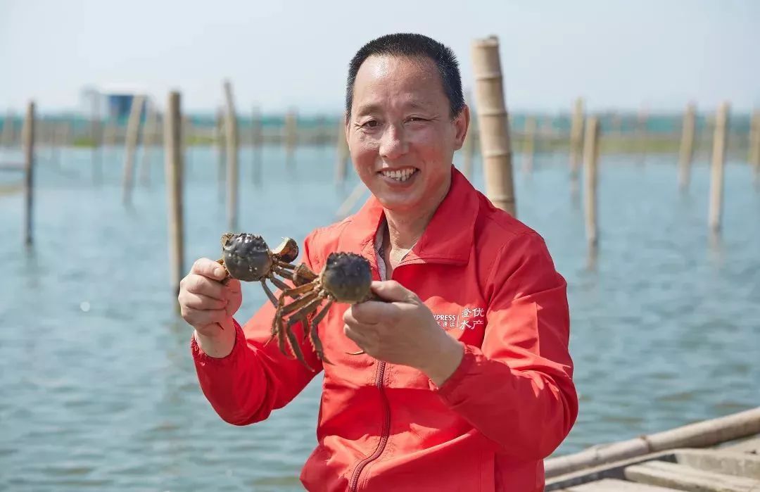 阳澄湖大闸蟹几月份最好吃最美味,吃阳澄湖大闸蟹的快乐季节