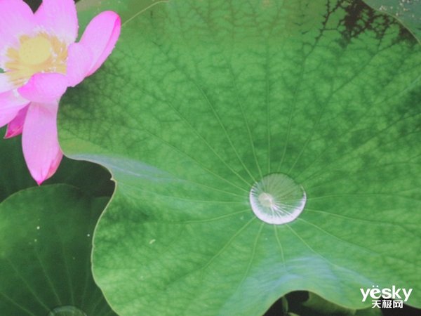 色彩逼真电视机,长虹c8ut激光电视