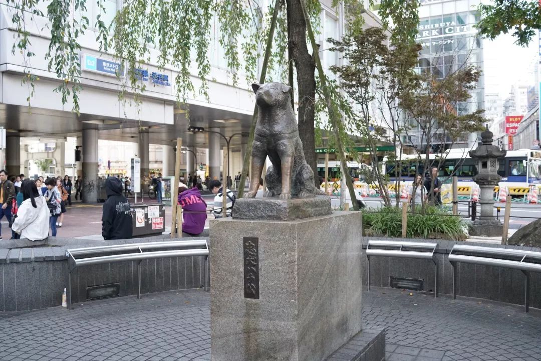 大阪女生最喜欢逛的药妆店,日本旅游必买的药妆店