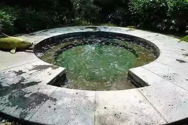 湛江避寒旅游名单,湛江冬季旅游酒店