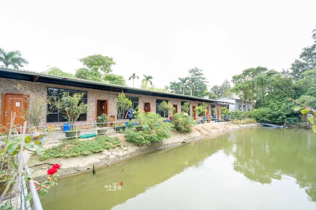 嚟度，可能系顺德桑拿种类最多嘅地方！鸵鸟都唔放过！真够呛