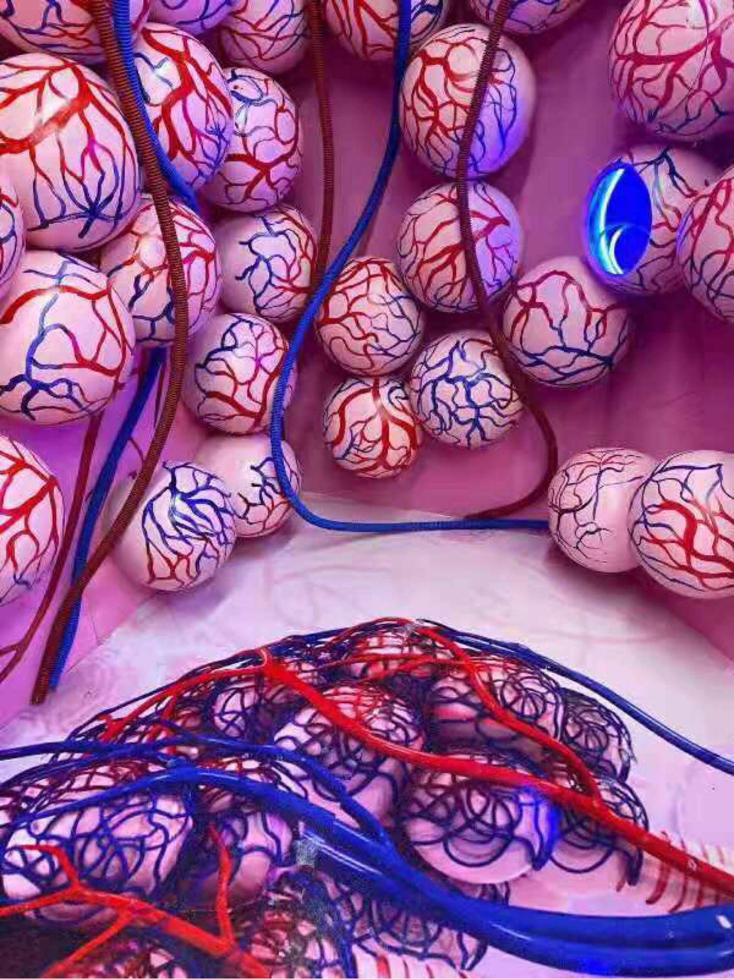 密室逃脱科普知识,密室逃脱有什么推荐软件