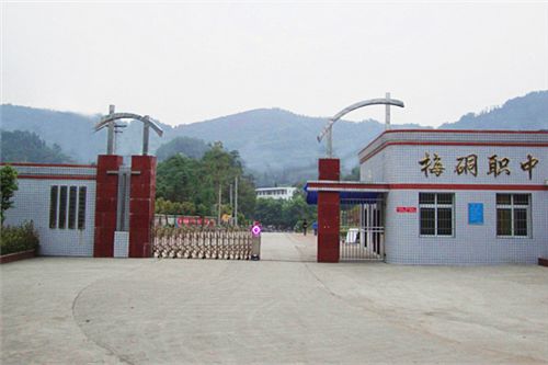 长宁区区重点学校共有几所,长宁有哪些好学校