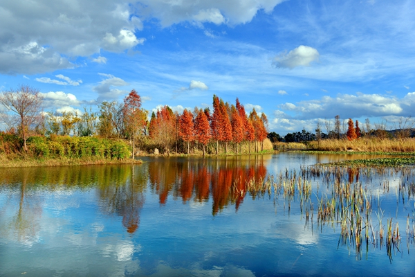 跟着镜头品诗词,跟着镜头感受生活中的美好