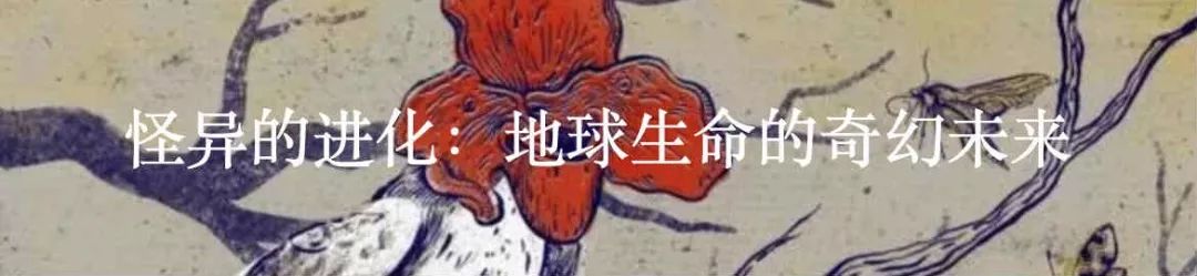 人类的世界就是一场悲剧,人类终究只是个笑话吗