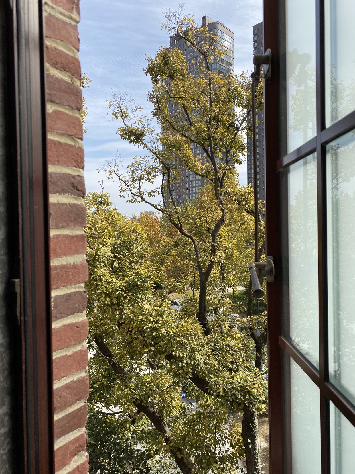 窝里鱼有泡但不开口怎么办,窝里有鱼没口什么原因