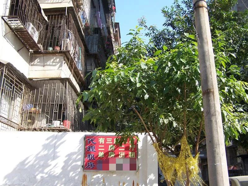 租房被黑房中介骗了怎么举报,找房子被黑中介骗了报警有用吗