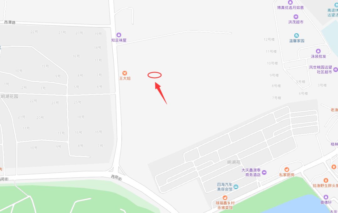 大庆龙凤区便民市场,大庆东湖便民市场规划