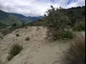 面对风积沙、强岩爆、高地温……新天路怎么修？