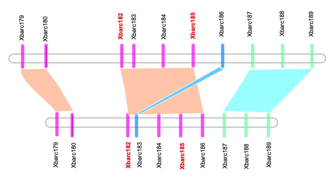 如何绘制交叉网状图,怎么快速画线性图