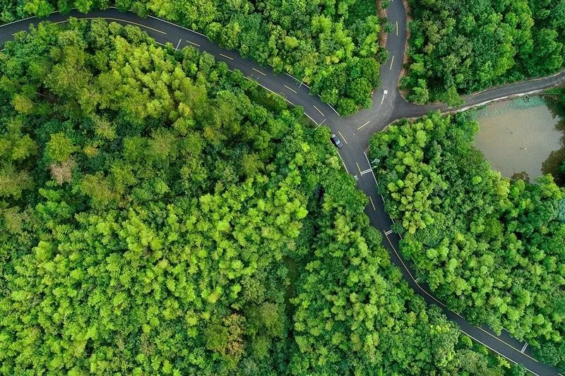 天呐！被南京这些路圈粉！