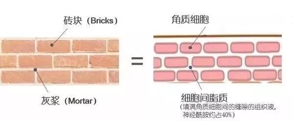 懒癌最好的救星,懒癌最省力的救星