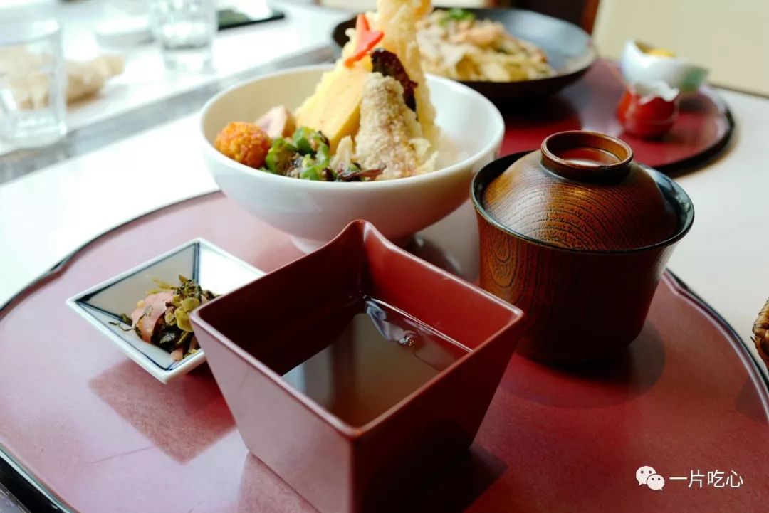 奈良的小鹿,奈良的小鹿最近新消息