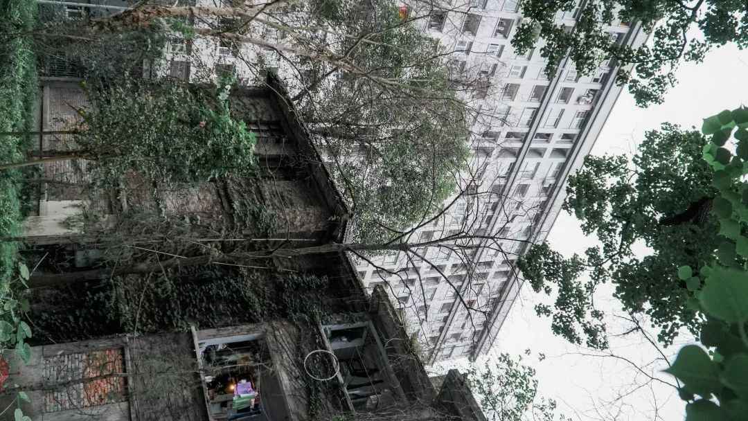 川大望江介绍,川大望江校区