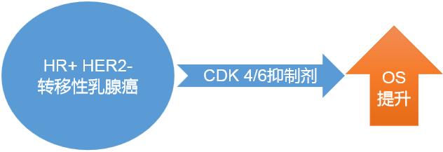 晚期乳腺癌多处转移生存期,乳腺癌转移性腺癌最长生存期