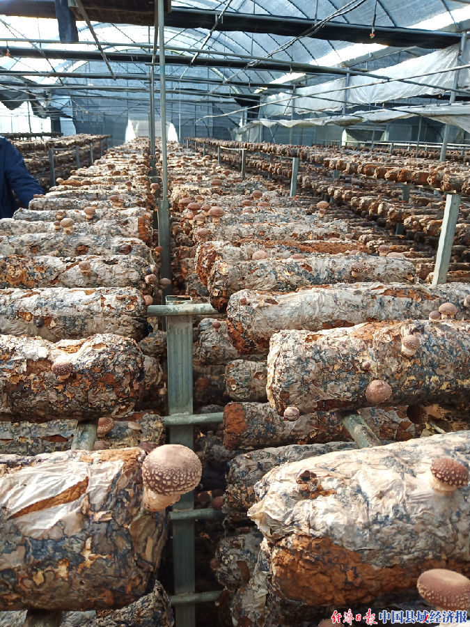 四川仪陇险岩村：开在深山里的扶贫车间