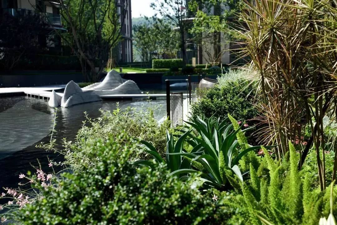 龙湖舜山府背后的故事,2024年重庆龙湖舜山府