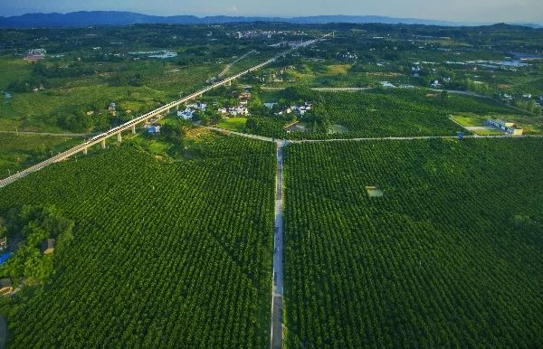 重庆各区县美丽乡村数量,重庆周边有哪些美丽乡村