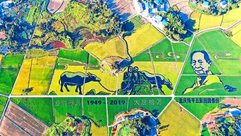 重庆各区县美丽乡村数量,重庆周边有哪些美丽乡村