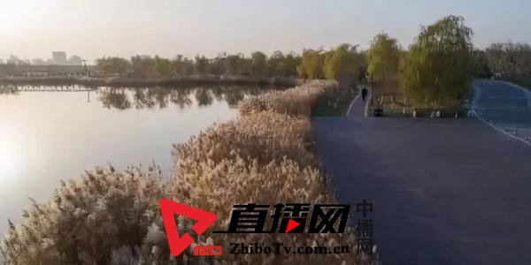 天津最新规划这些地区迎来大发展,天津即将新建的板块