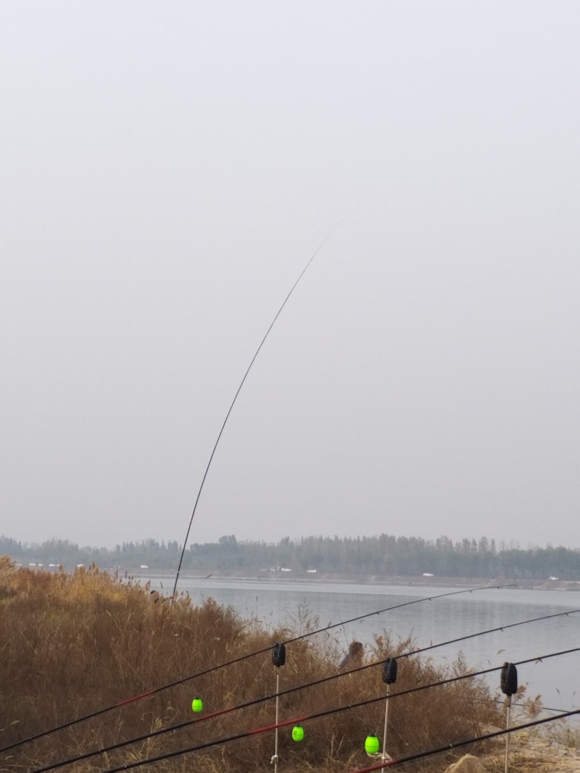钓鲤鱼选位技巧,钓鲤鱼掐饵手法