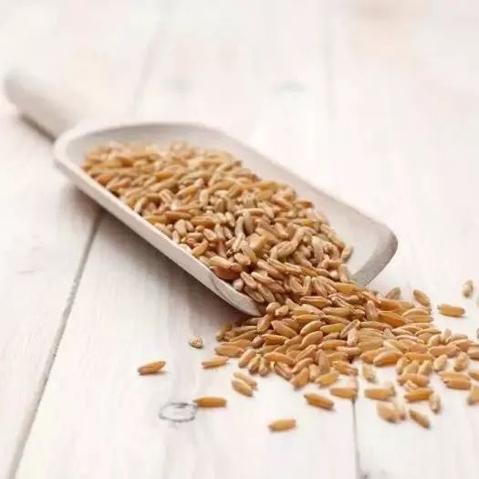 骆驼奶对糖尿病真的有好处吗,骆驼奶治疗糖尿病是不是骗局