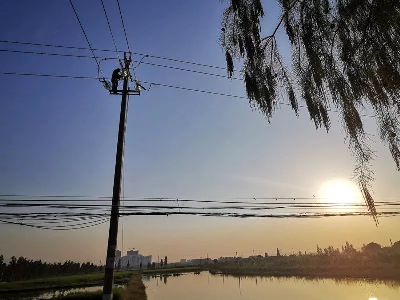 电网男女送礼都有啥？网友：送个锤子