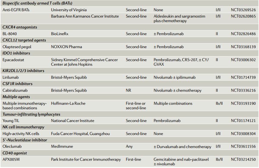 一文盘点:胰腺癌的靶向治疗和免疫治疗研究进展