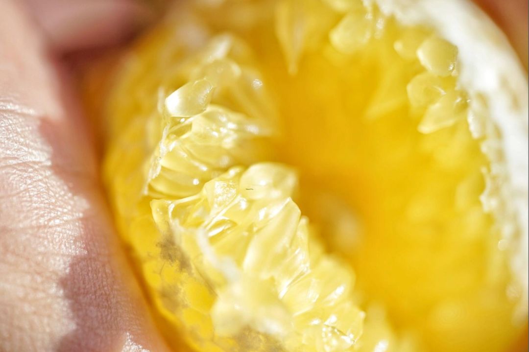 认识下广东人从小吃到大的宝藏水果,像冬季里清甜的山泉