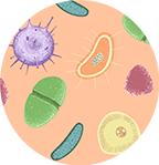 如何预防抗菌药物耐药,抗生素耐药多久消失