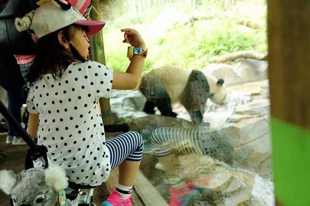 亲子游广州长隆动物园,广州长隆野生动物世界亲子游路线