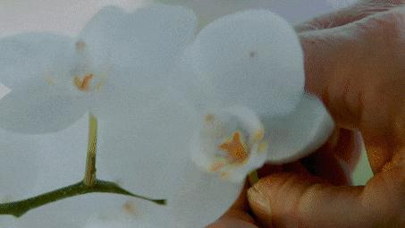 真正让你变美的护肤品高口碑,堪比大牌的护肤品