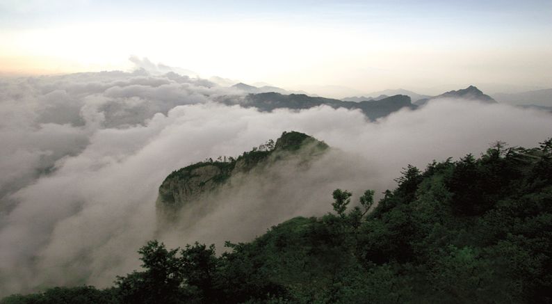 嵩县的这些“非卖品”，你都知道吗？