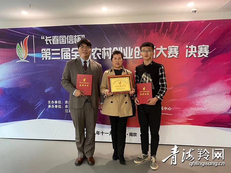 农民创新创业计划书,农村创新创业新思路