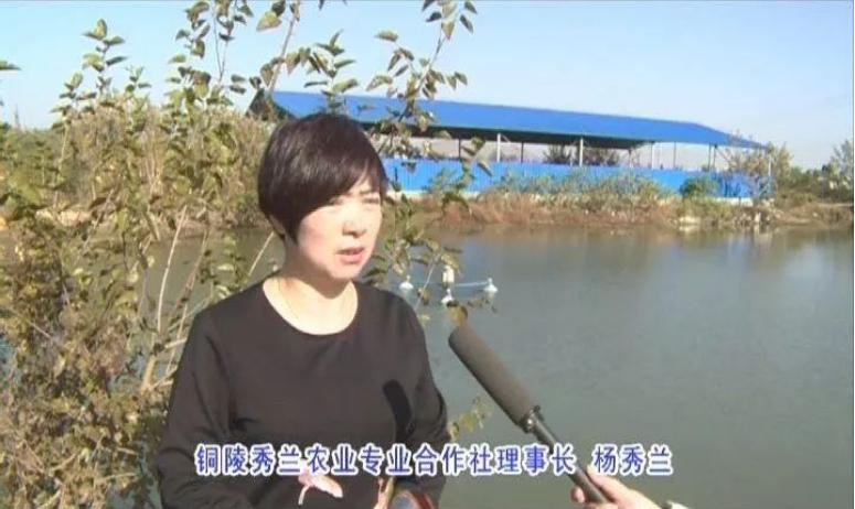 创业项目推荐女生投资小且易上手,适应女性创业的项目