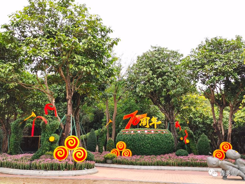 青秀山菊花展进入最佳观赏期,南宁青秀山菊花展门票多少钱一张