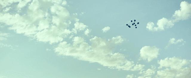 豆瓣8.6分被名字耽误,豆瓣8.3分的电影都有哪些