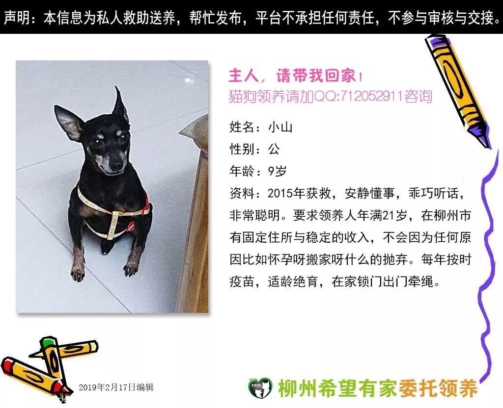 惹蜘蛛,惹了蜘蛛蜘蛛会记仇吗