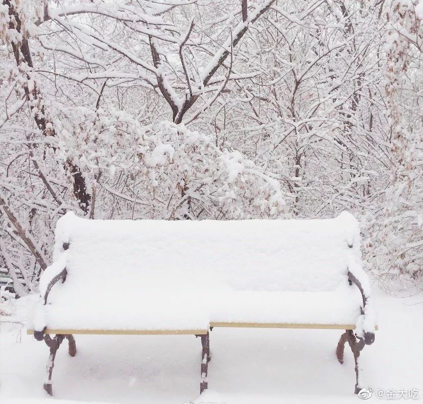 中国哪里开始下雪了,什么地方开始下雪了