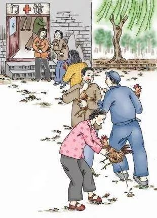 打鸡血真的好么,打鸡血有科学依据么