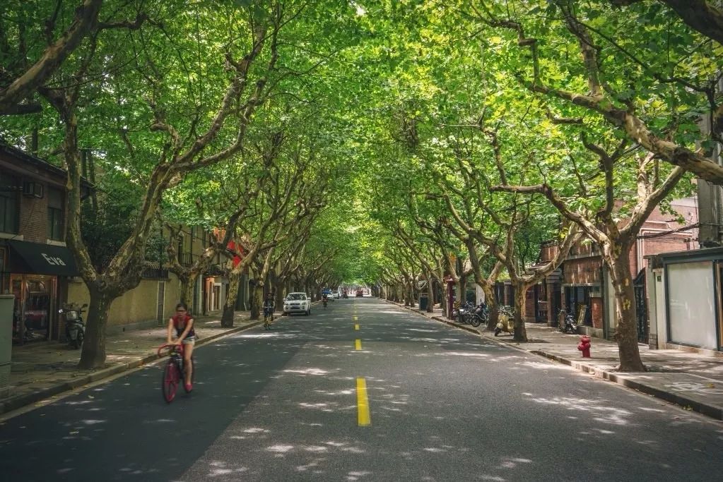 上海梦特娇旗舰店,上海梦梦直播间