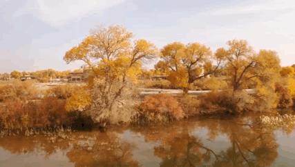 新疆南疆自驾最详细旅游攻略,从南疆自驾到北疆的最佳路线