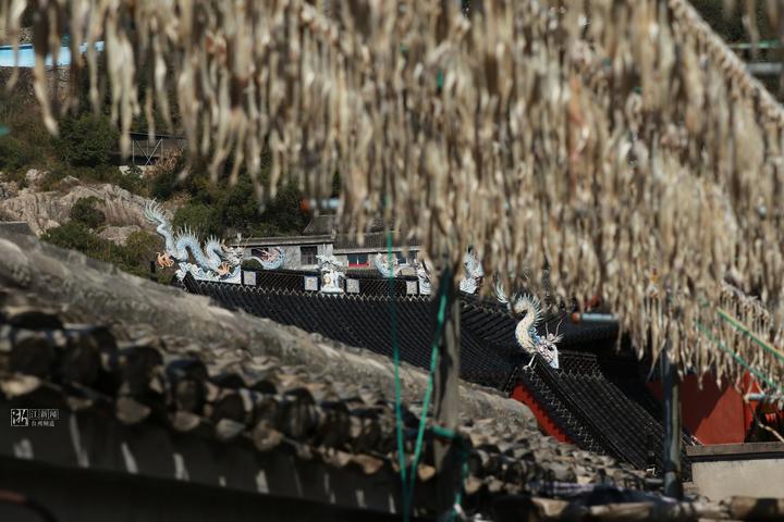 幸福四重奏视频,台州连续几年被评为最幸福城市