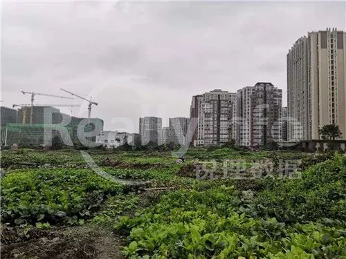 成都土拍最新消息今天时间表,成都土拍集中2021第三次青白江