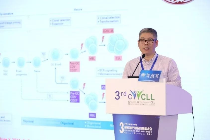 慢性淋巴白血病cll型多久能痊愈,全国慢性粒细胞白血病真实治愈