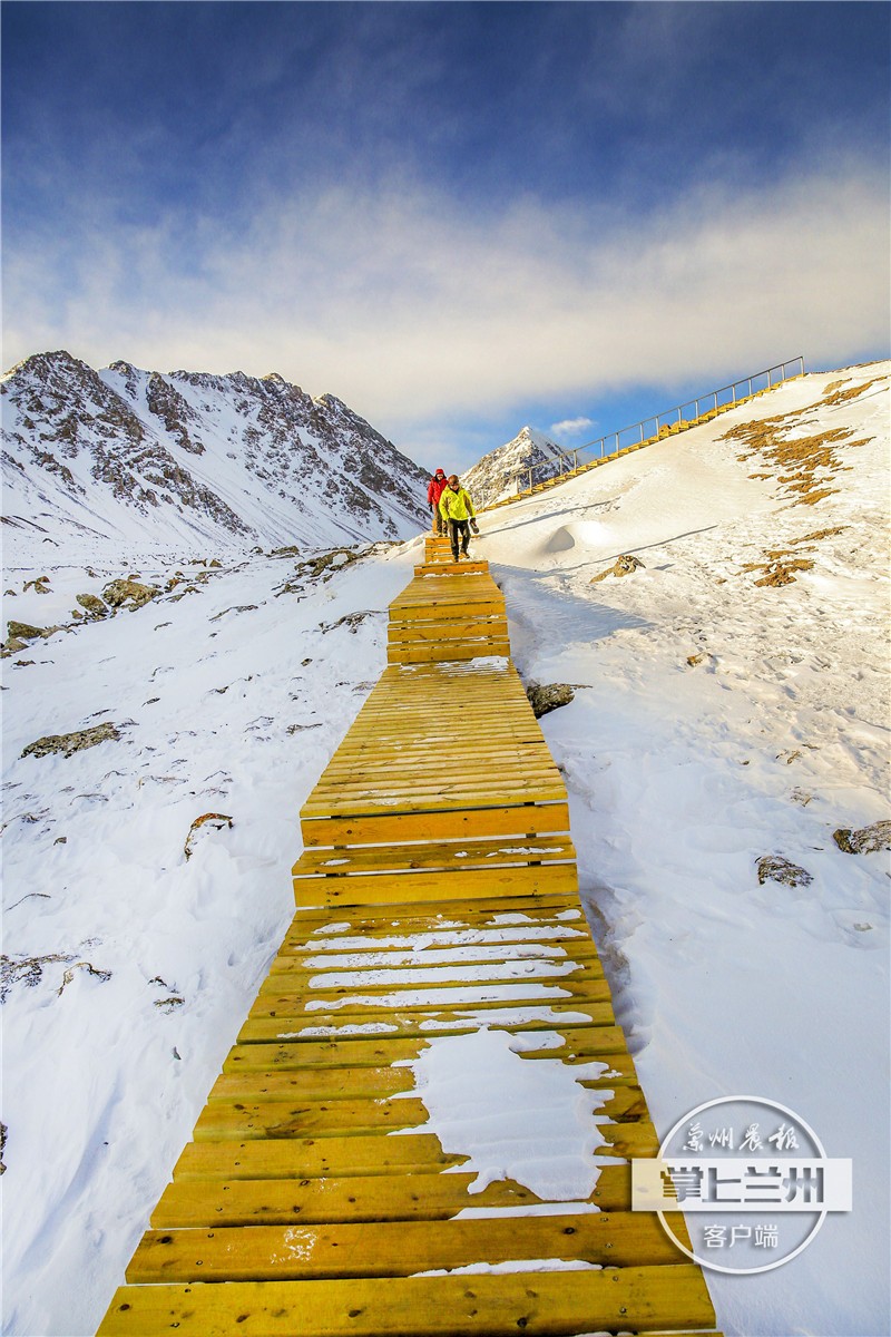 兰州市任我行,兰州任我行现状