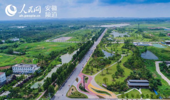 官亭林海:“江淮脊背”上的生态绿地