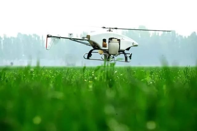 鹤壁是全国文明城市么,鹤壁是哪个省的城市